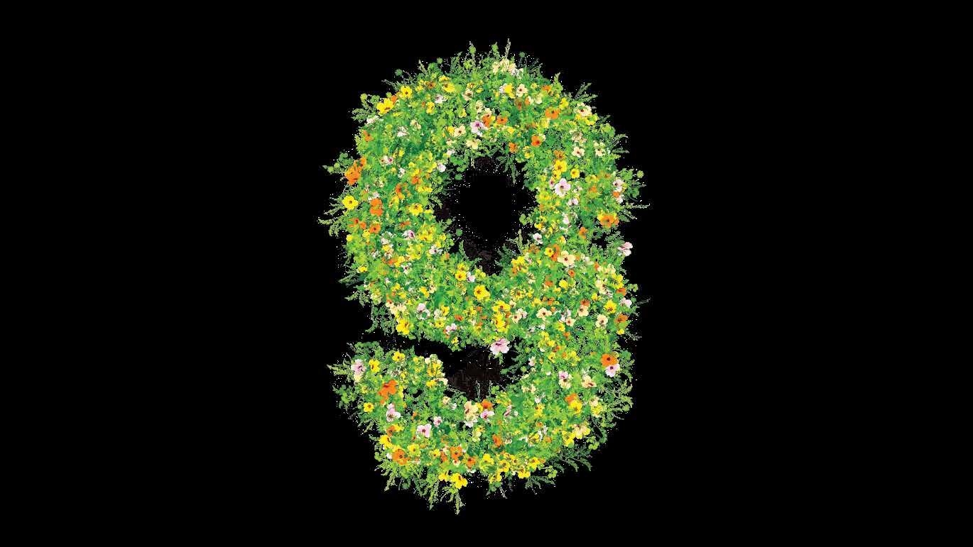 403 forbidden eg crossword clue