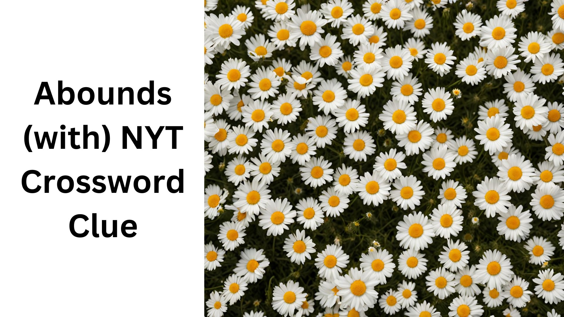 crossword for abound