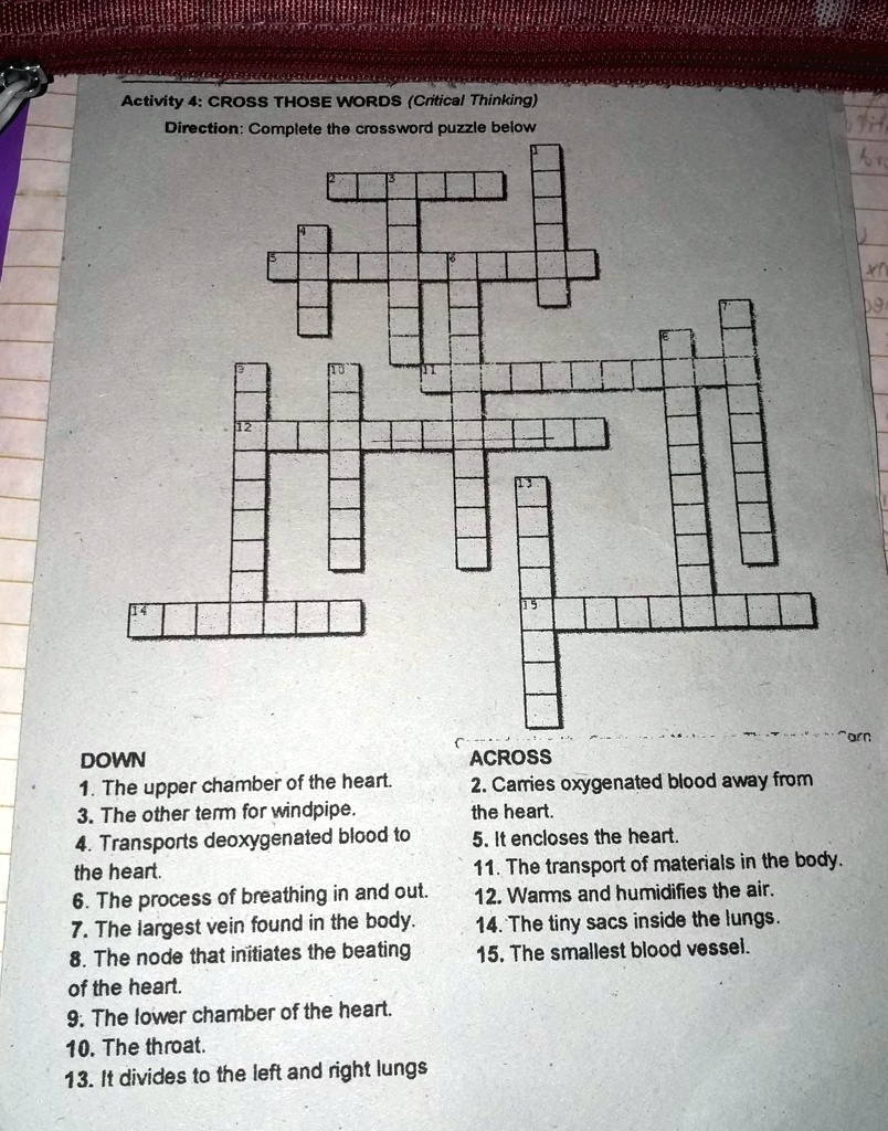 Activity 4 CROSS THOSE WORDS Critical Thinking Direction Activity 4 CROSS THOSE WORDS Critical Thinking Direction