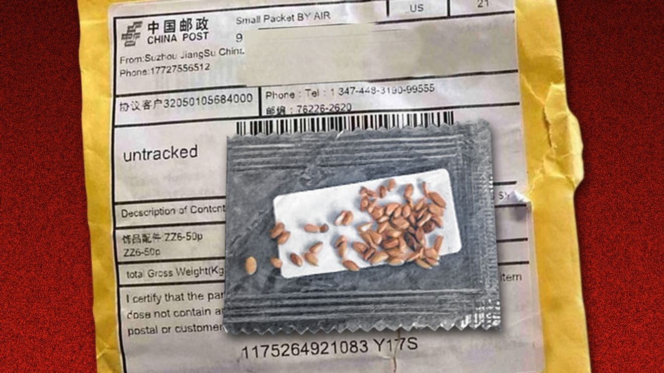 chinese weight crossword