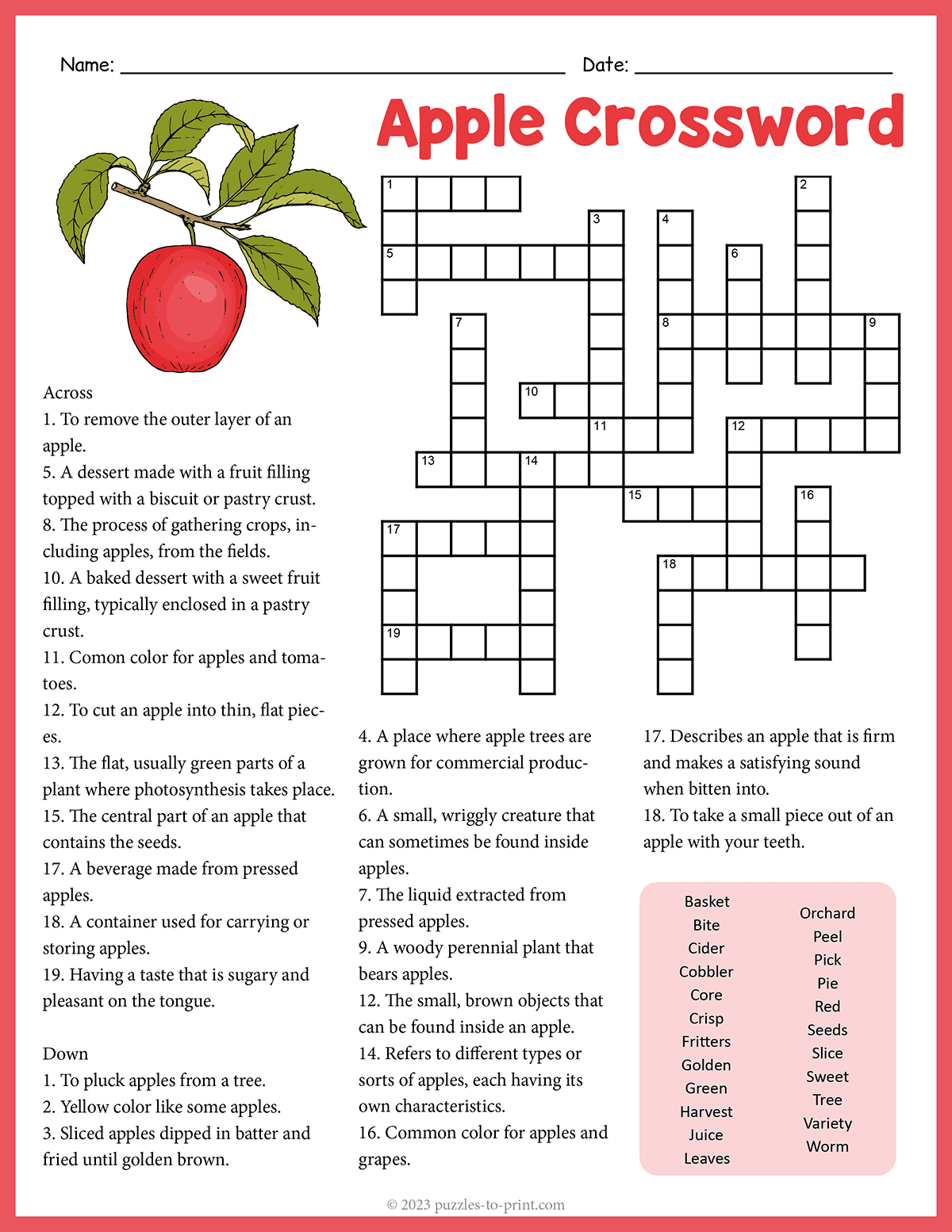 Apple Variety Crossword Clue