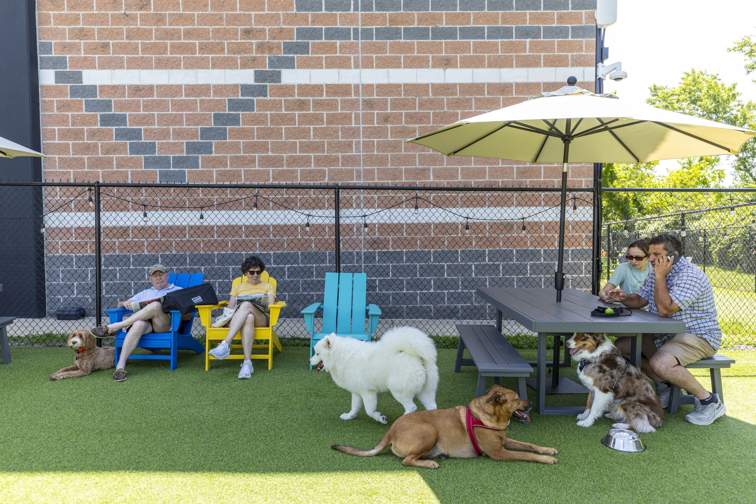 Bark Social In Manayunk Lets Dogs And Their Owners Meet New People And Pooches