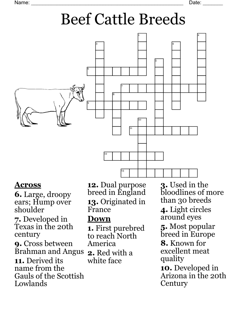 Red Cattle Breed Crossword