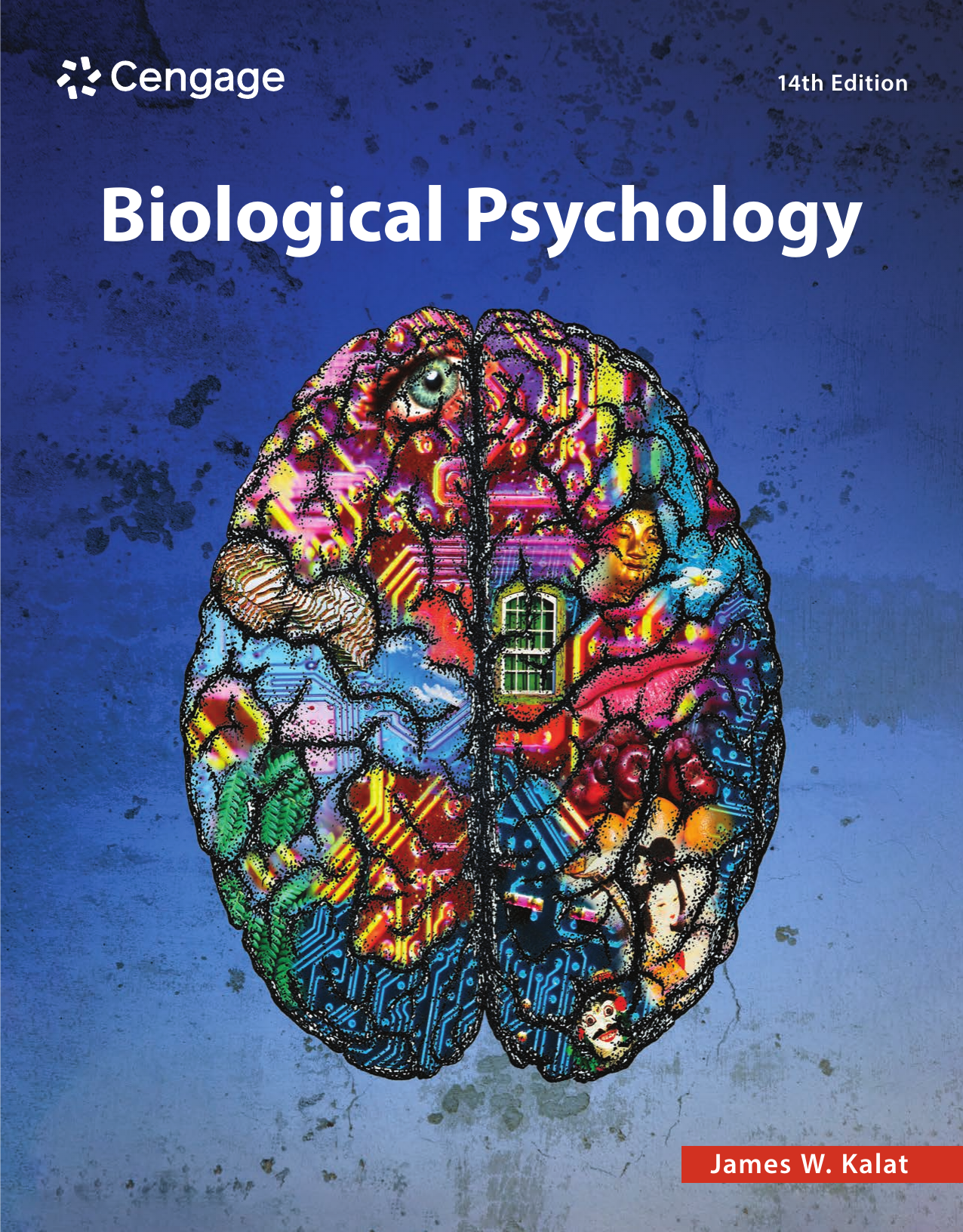 Biological Psychology 14th Edition By James W Kalat Cengage Learning