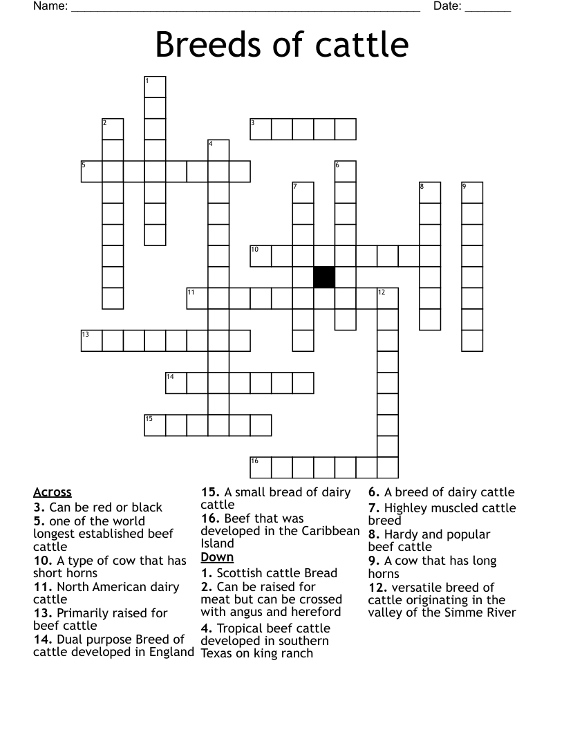 Breeds Of Cattle Crossword WordMint Breeds Of Cattle Crossword WordMint