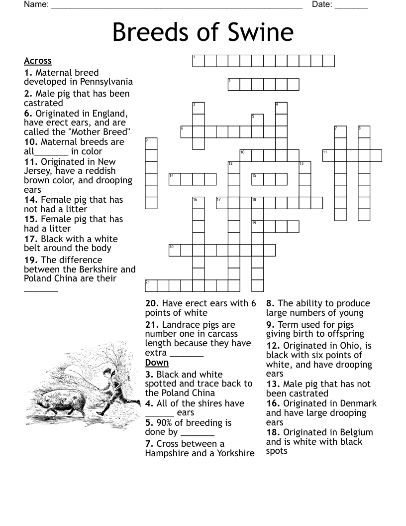 reddish brown crossword