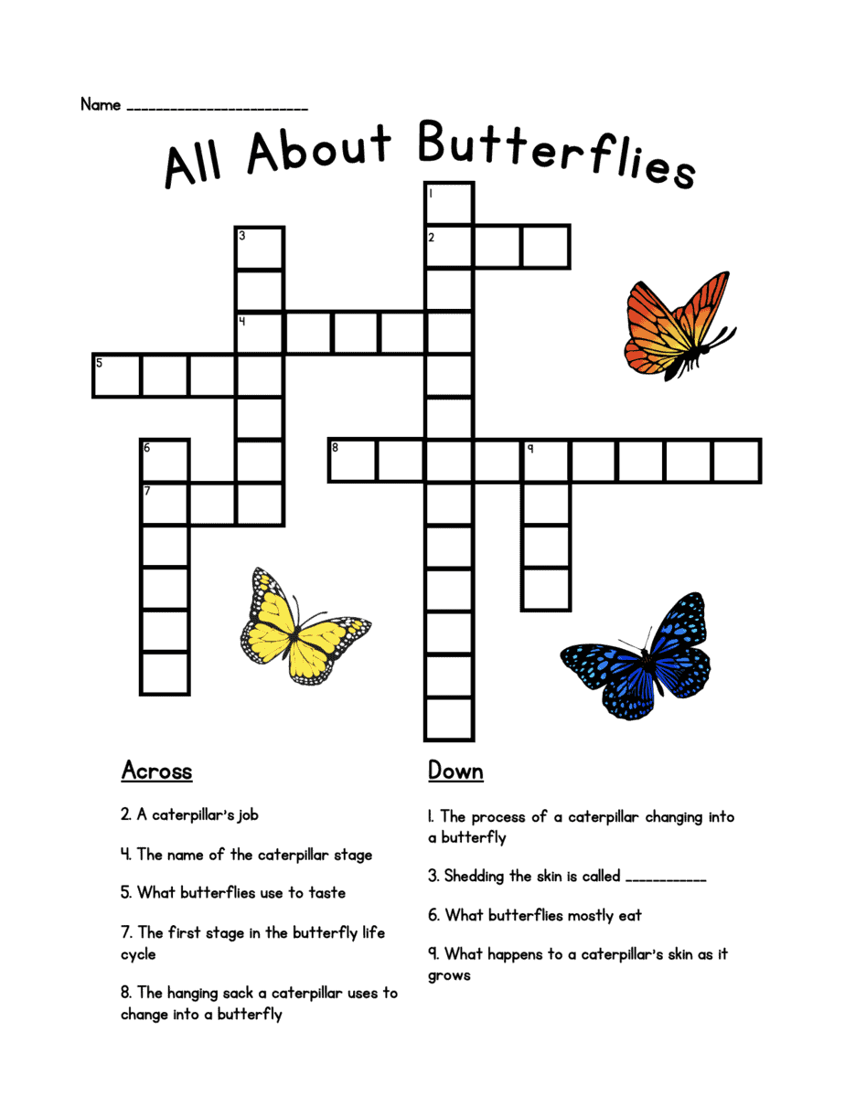 Butterfly Learning Pack 4onemore Butterfly Learning Pack 4onemore