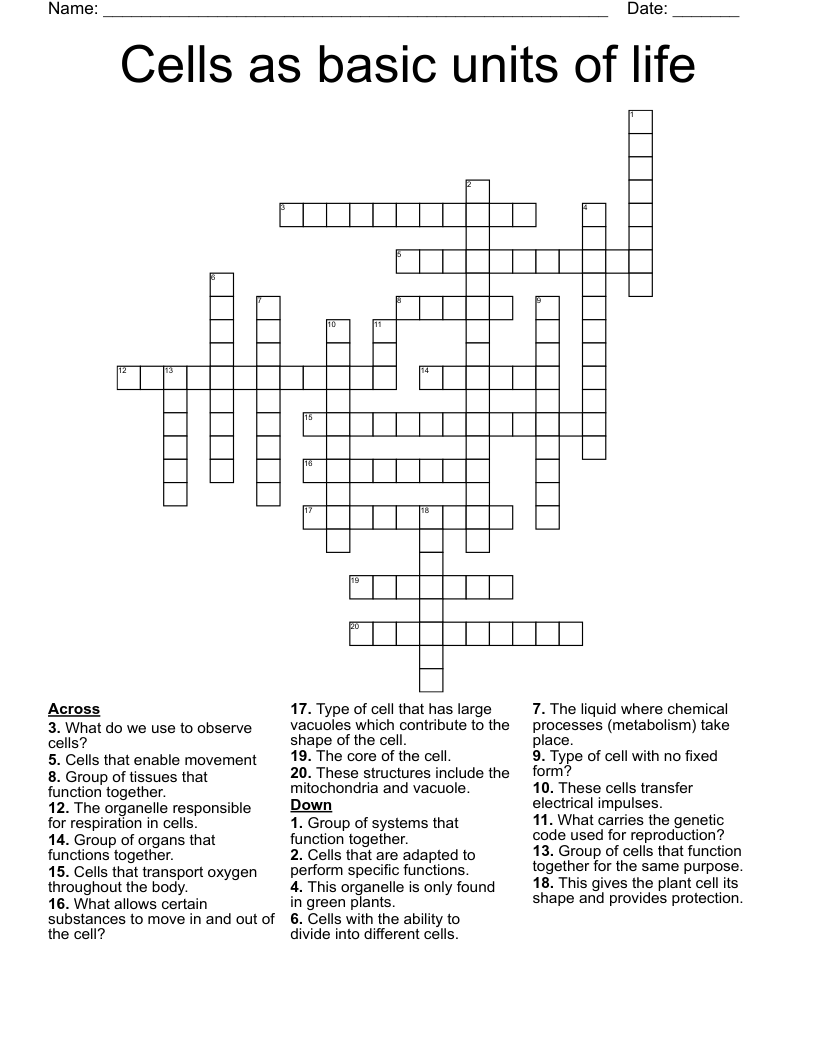 Cells As Basic Units Of Life Crossword WordMint Cells As Basic Units Of Life Crossword WordMint