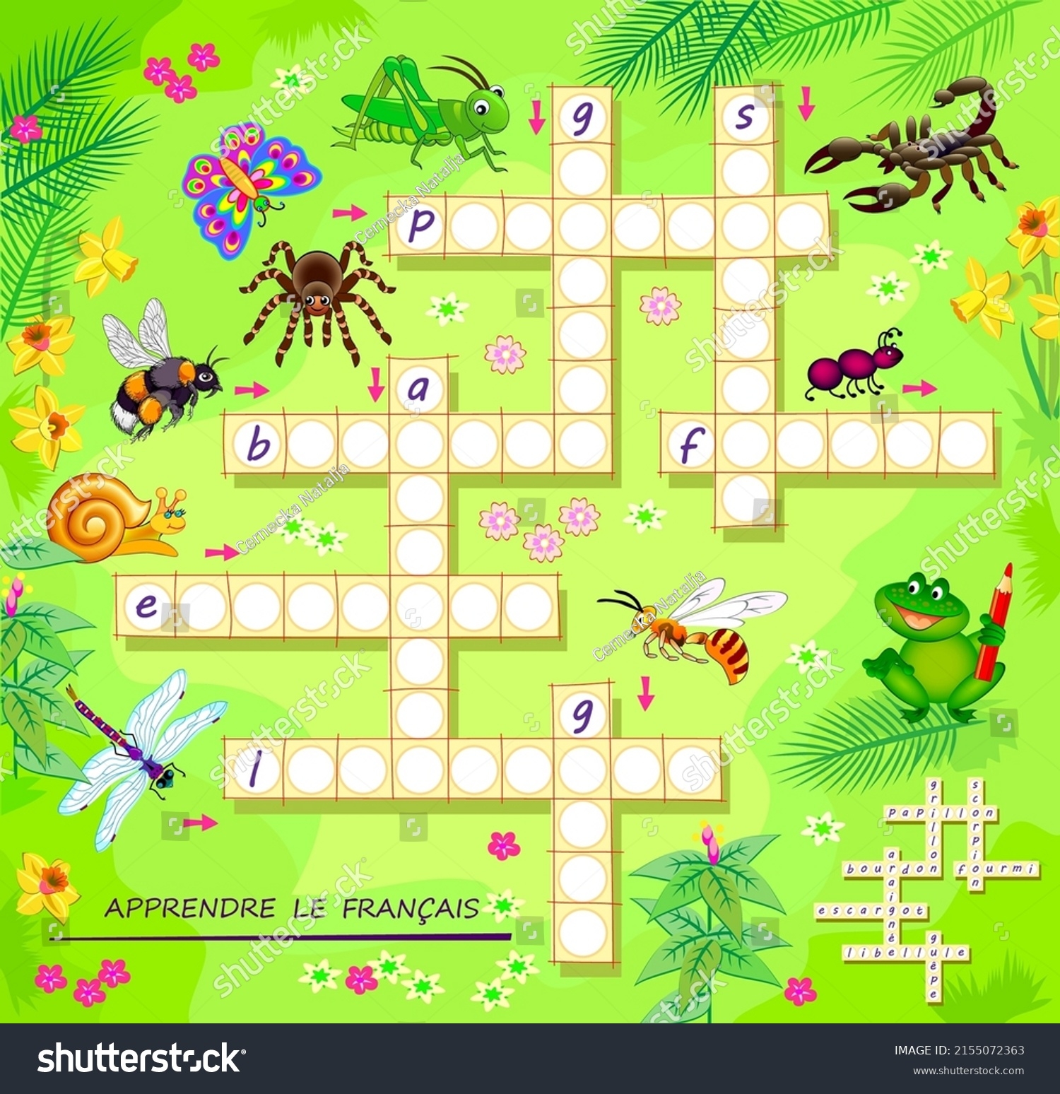 Collections By Cernecka Natalja Shutterstock Contributor Collections By Cernecka Natalja Shutterstock Contributor