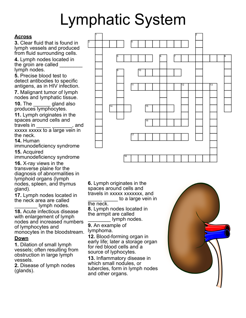 Differential Tests Crossword WordMint
