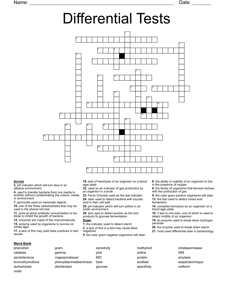 Differential Media Crossword