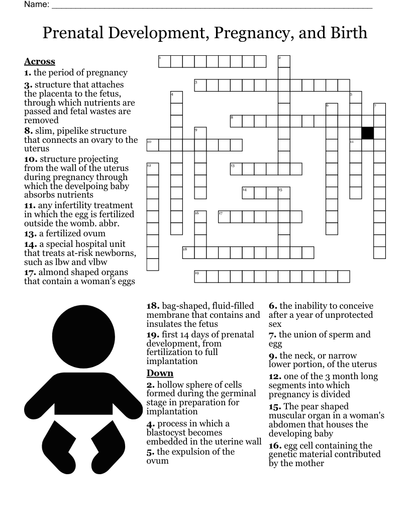Eggs Crossword WordMint Eggs Crossword WordMint