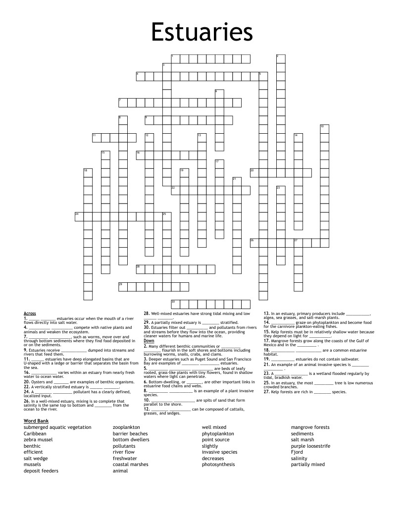 Estuary Crossword Clue