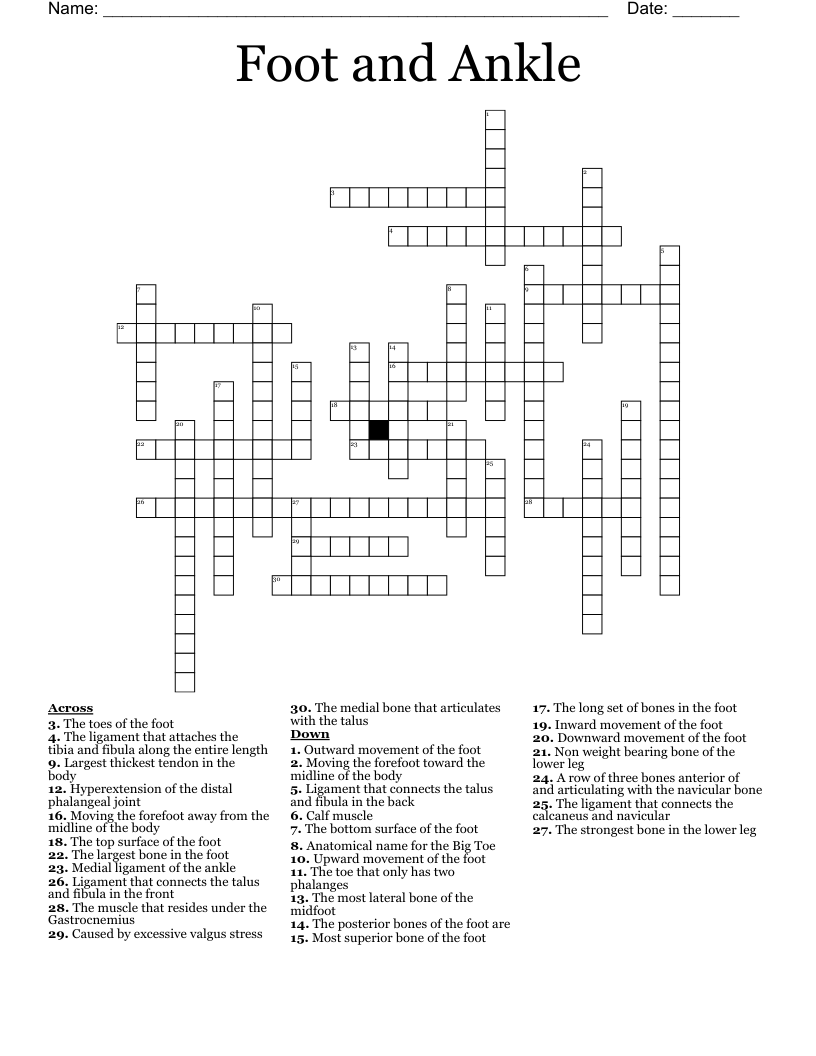Ankle Bone Crossword