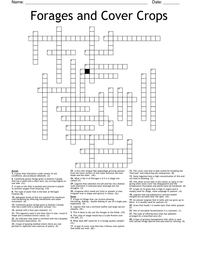 Seed Cover Crossword