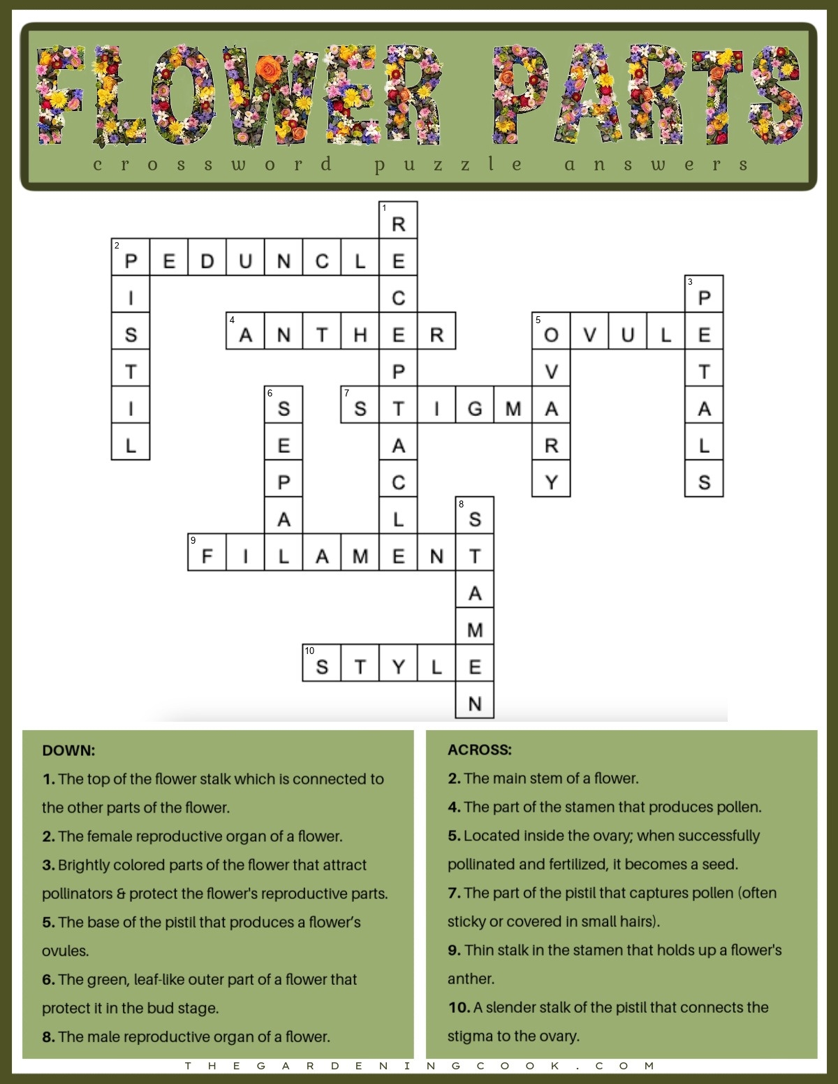 refer to crossword refer to crossword