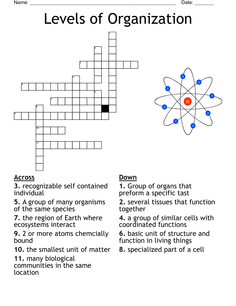 Honors Biology Crossword Puzzle WordMint