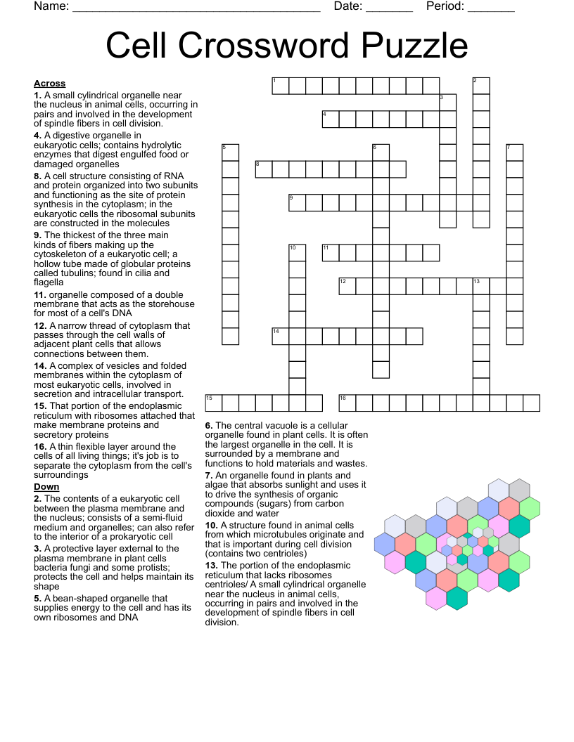 Honors Biology Crossword Puzzle WordMint