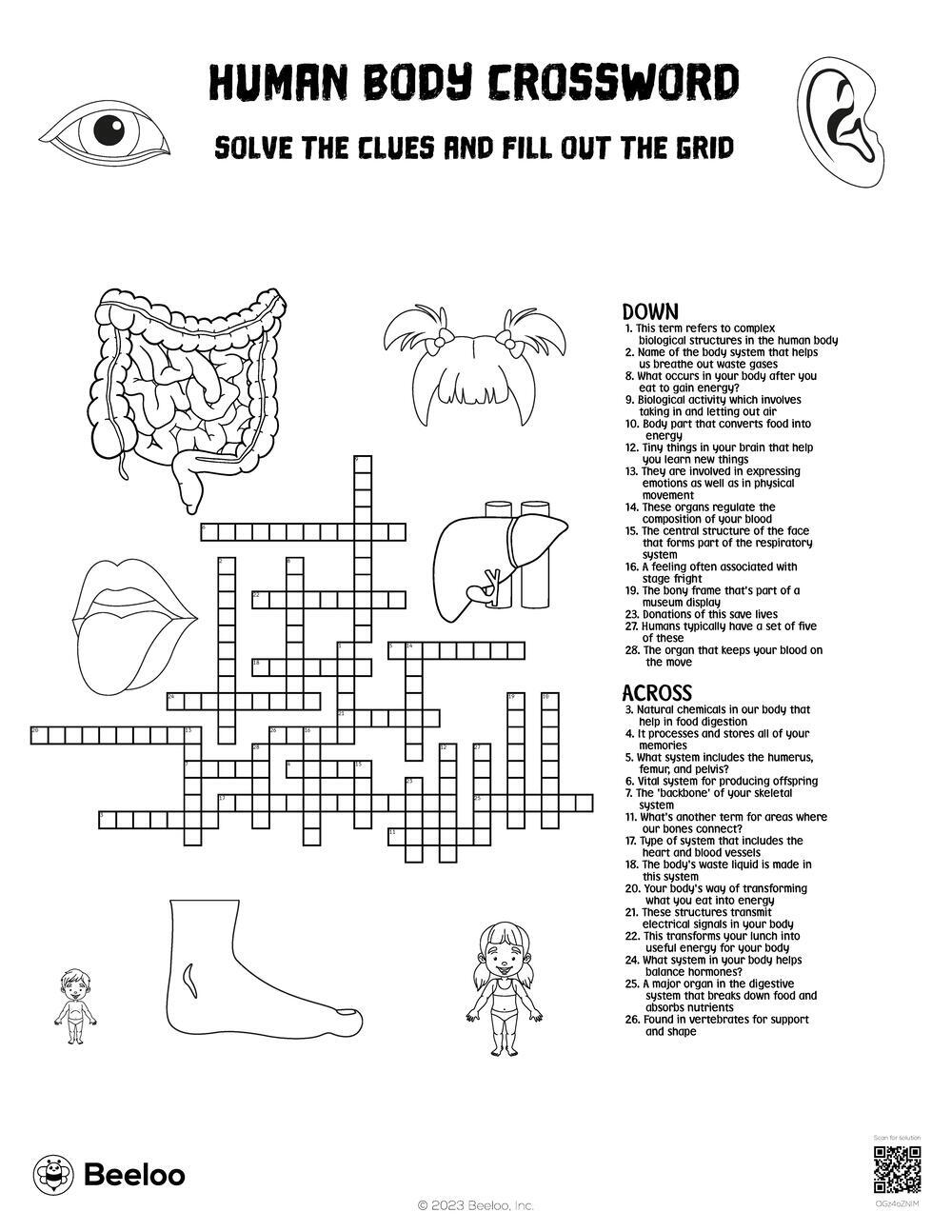 Human Body Crossword Beeloo Printable Crafts And Activities For Kids