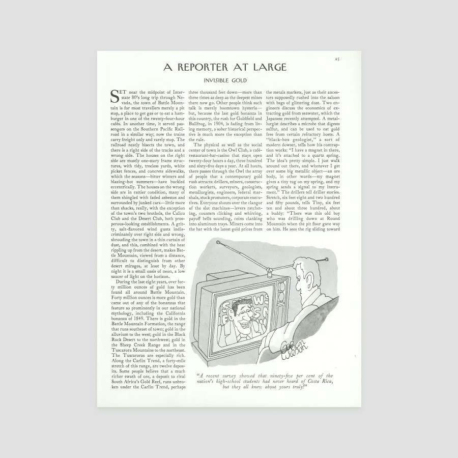 Invisible Gold The New Yorker