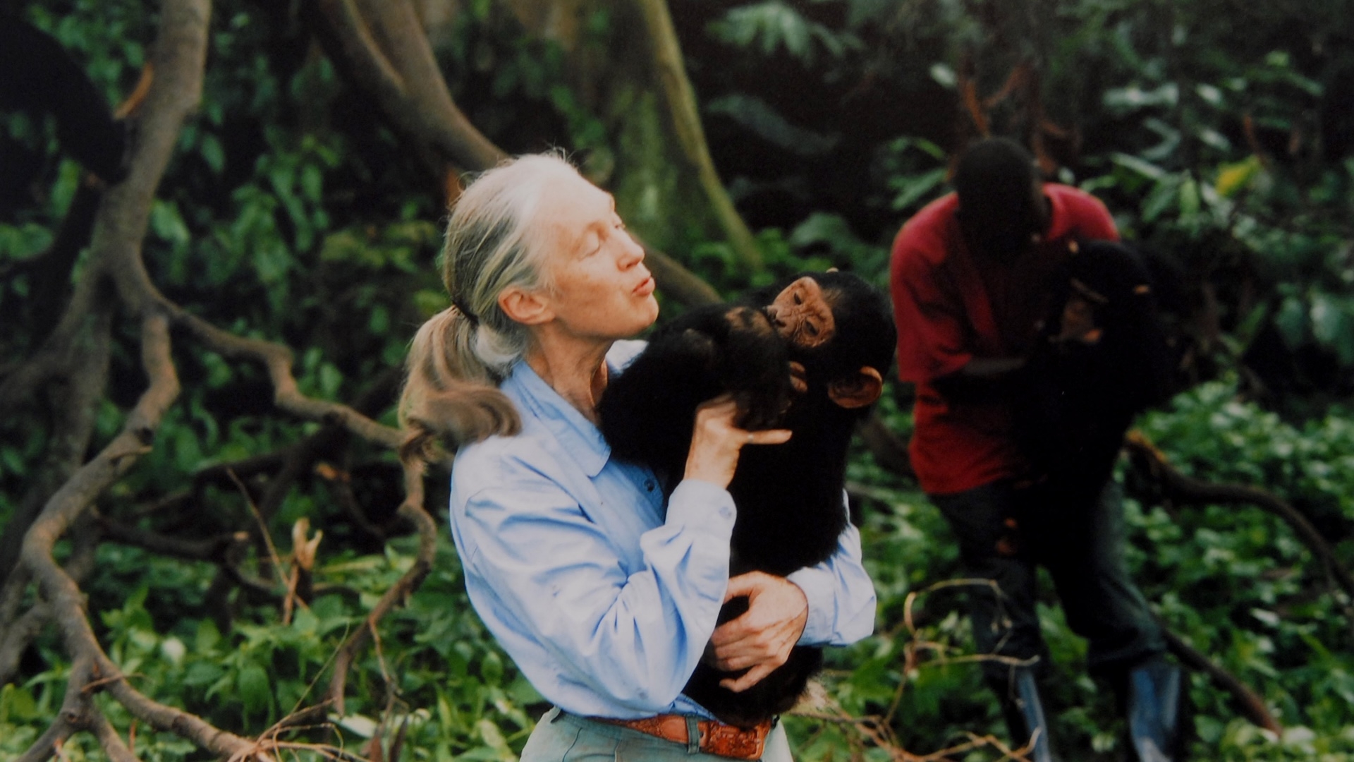 Jane Goodall Famed Primatologist Who Discovered Chimpanzee Tool Use Dies At 91 Live Science