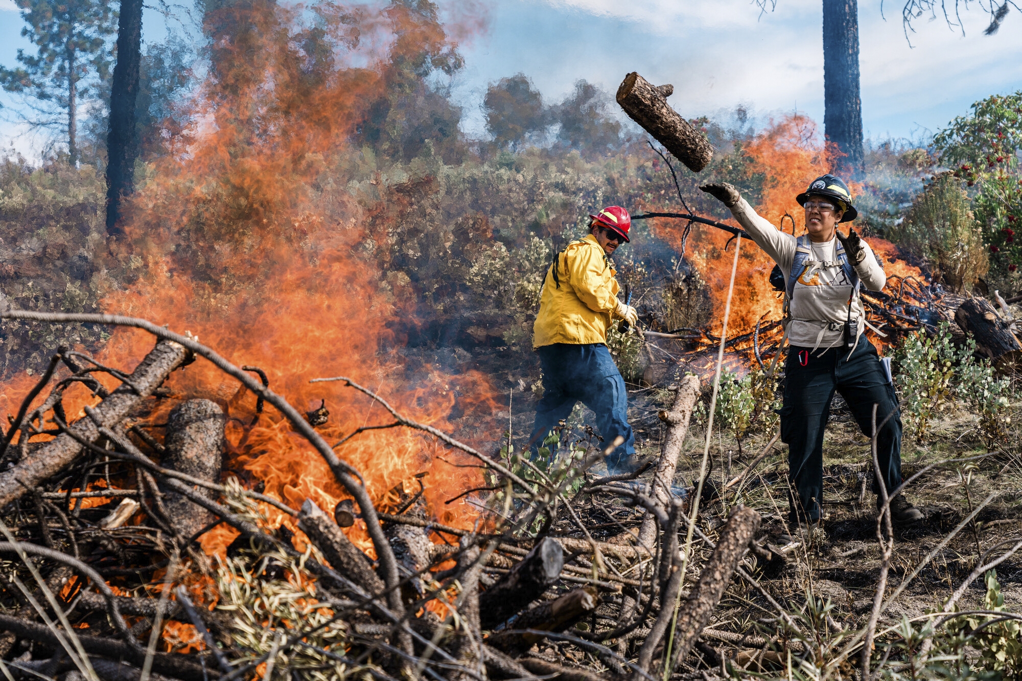 Maidu Tribes Reignite Ancestral Fire Stewardship In The Sierra Foothills KQED