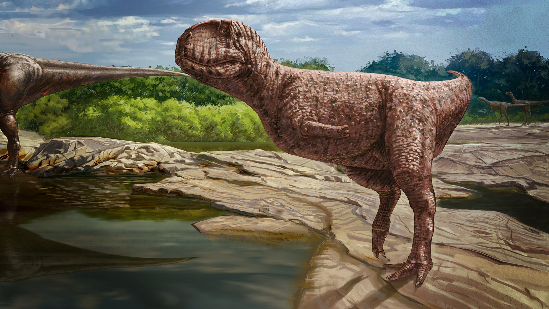 Massive Bulldog faced Dinosaur Was Like A T Rex On Steroids Live Science