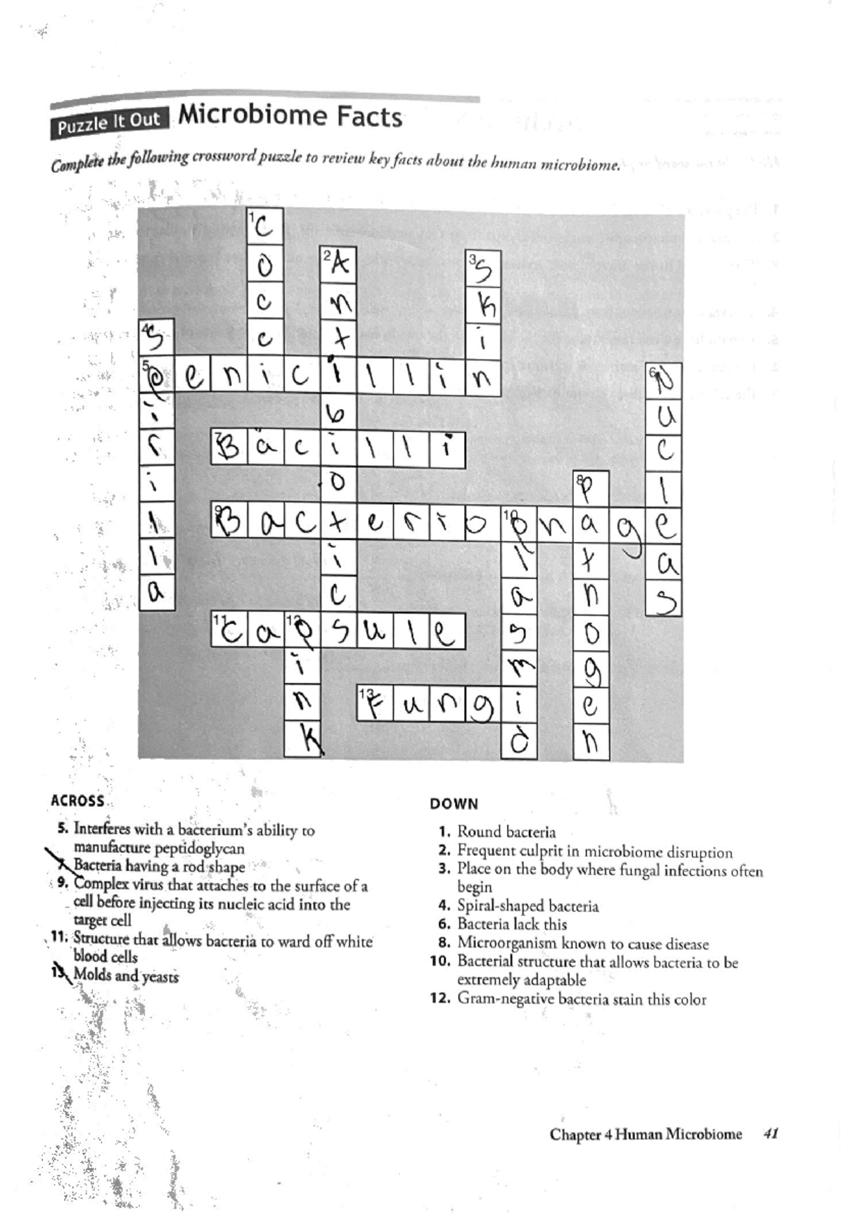 Microbiome Crossword Puzzle Review AP 2025 Chapter 4 Insights Studocu