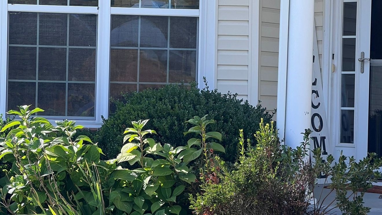 bay window crossword clue