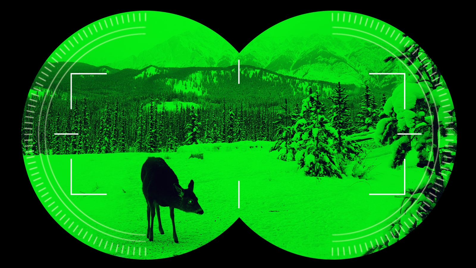 Night Vision Lenses Could Give You Power To See In The Dark Using Simple Eyeglasses Live Science