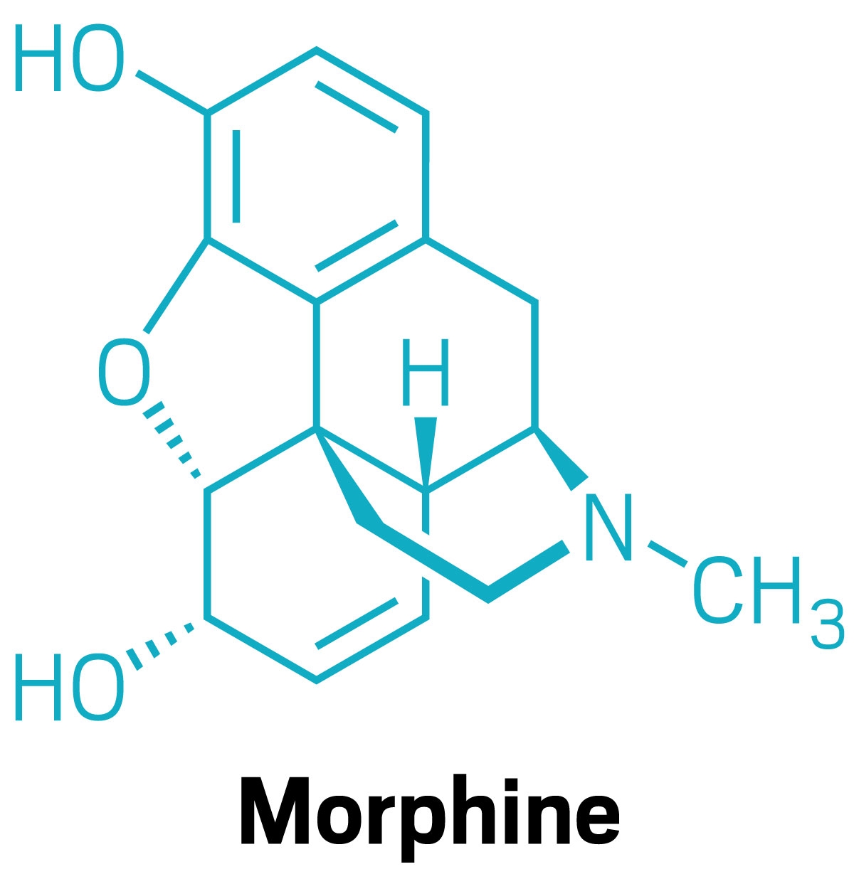 Notes On The ACS Sesquicentennial Crossword Puzzle