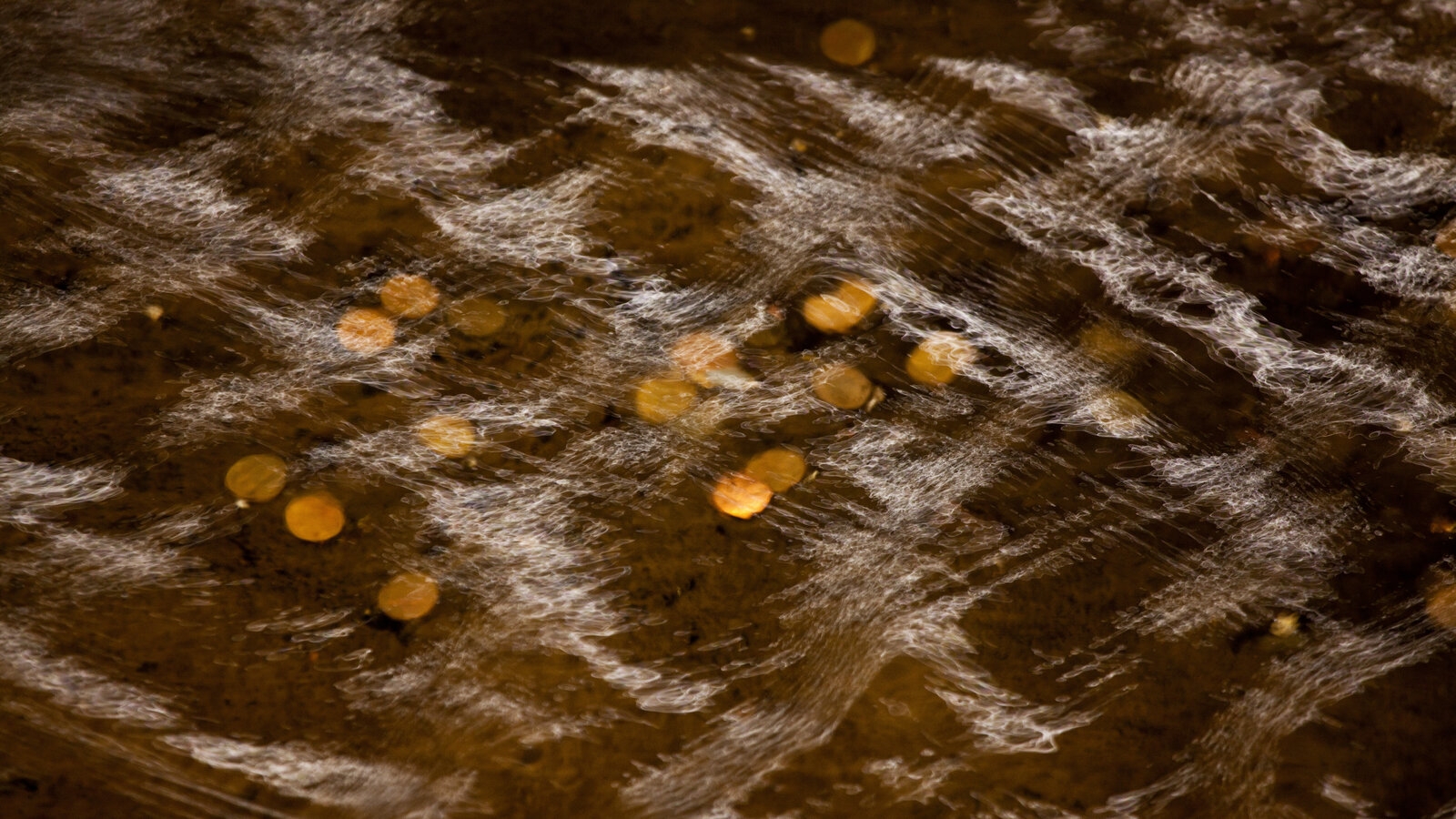 NYT Crossword Answers For March 5 2025 The New York Times