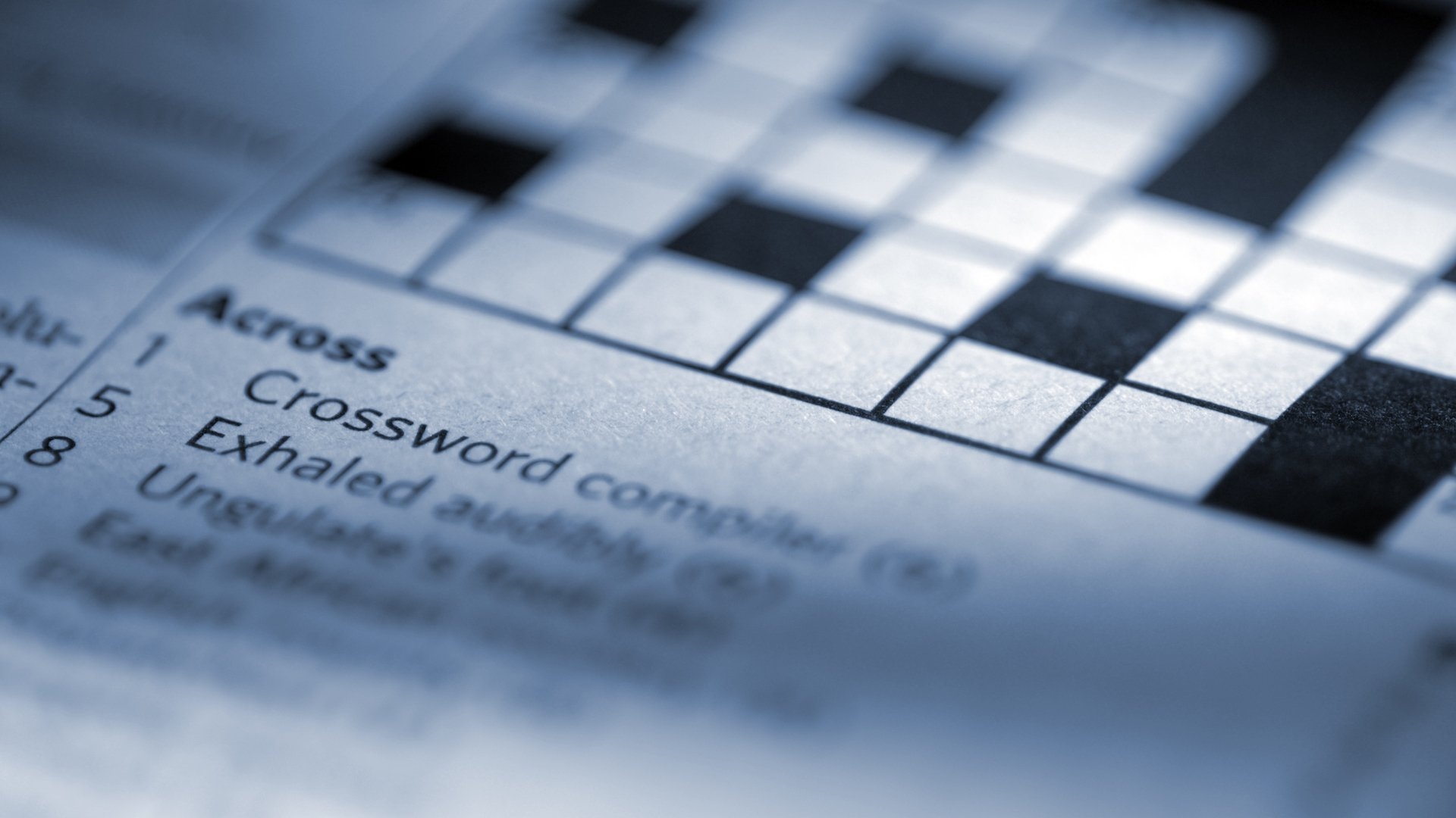 Sawing A Person In Half Crossword