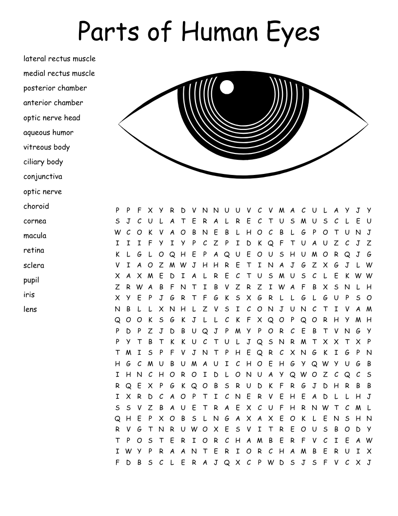 Parts Of Human Eyes Word Search WordMint