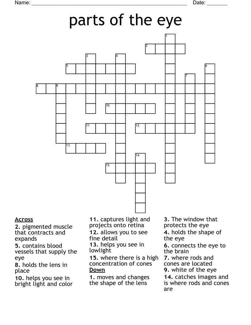 Eye Parts Crossword Puzzle Clue