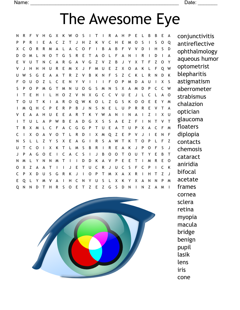 Parts Of The Eye Crossword WordMint Parts Of The Eye Crossword WordMint