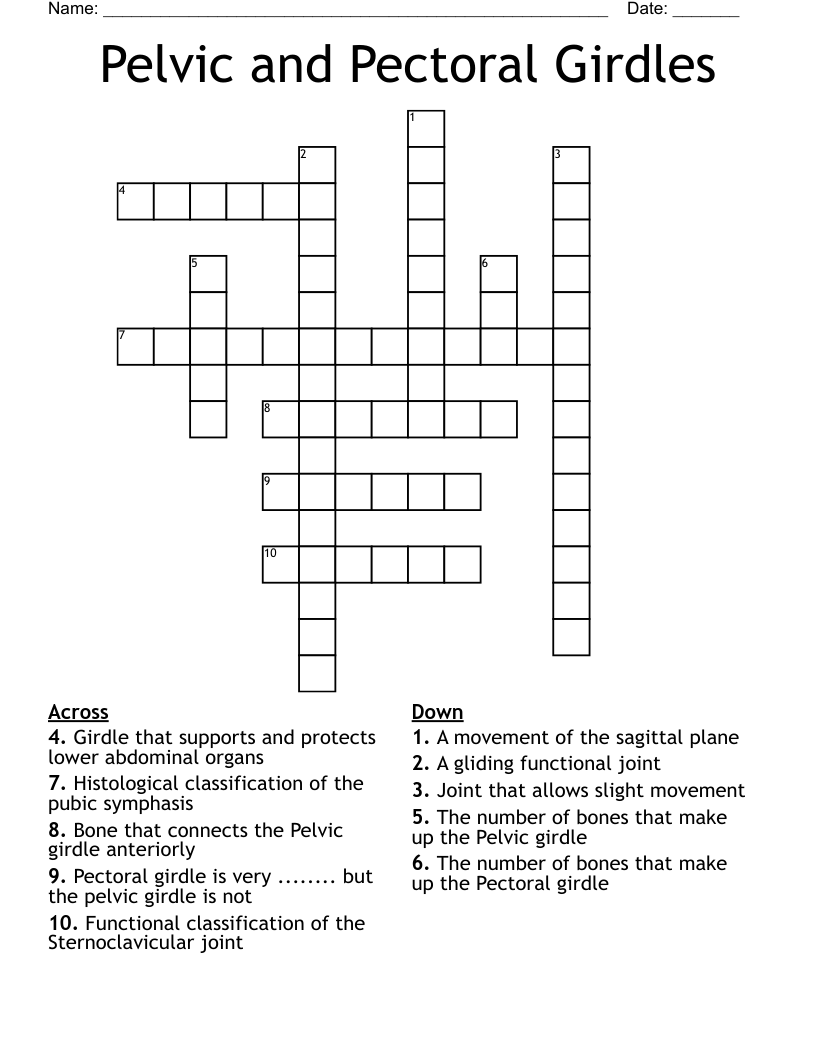 Pelvic Bones Crossword