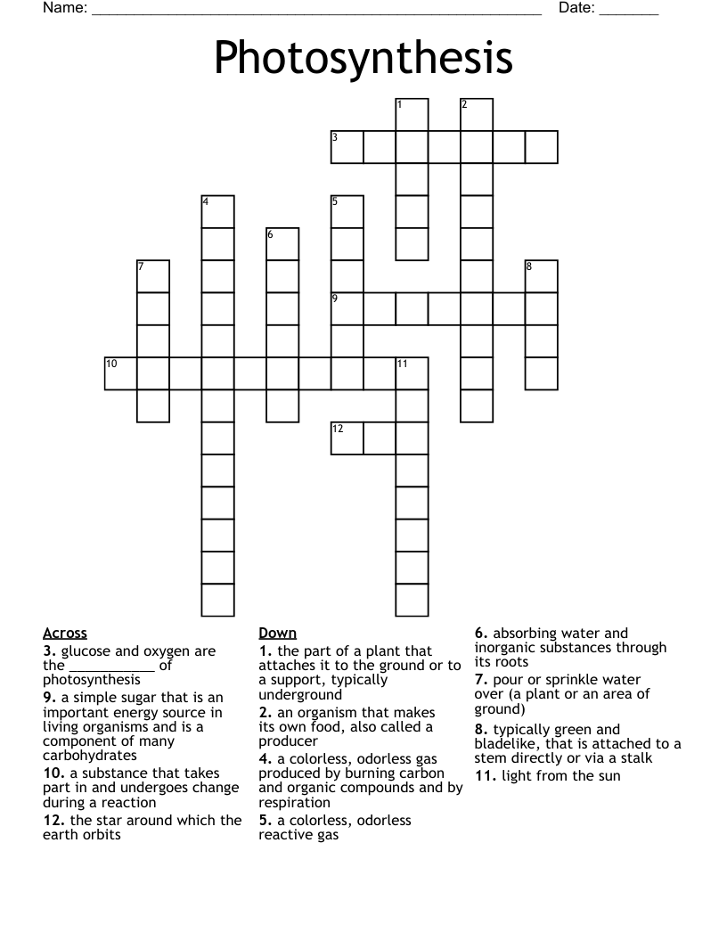 Photosynthesis Crossword WordMint