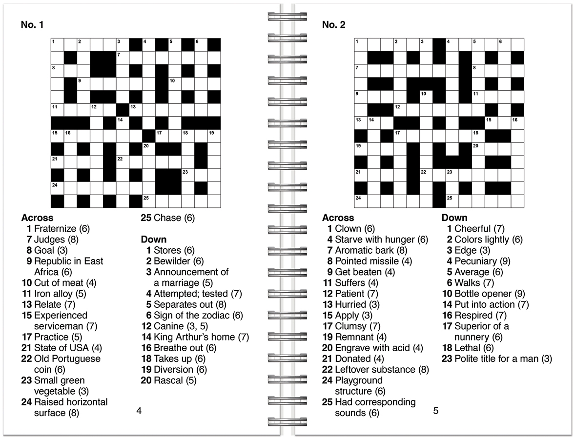 large print crossword