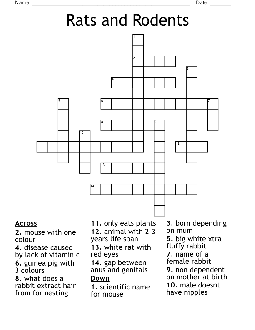 Female Rats Crossword