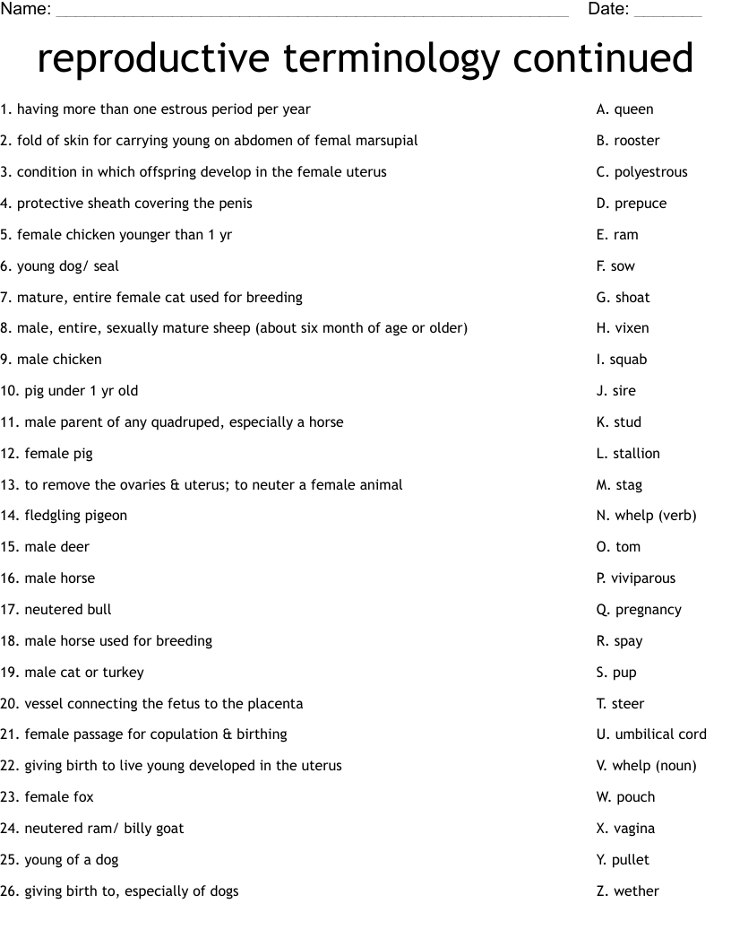 Reproductive Terminology Continued Worksheet WordMint Reproductive Terminology Continued Worksheet WordMint
