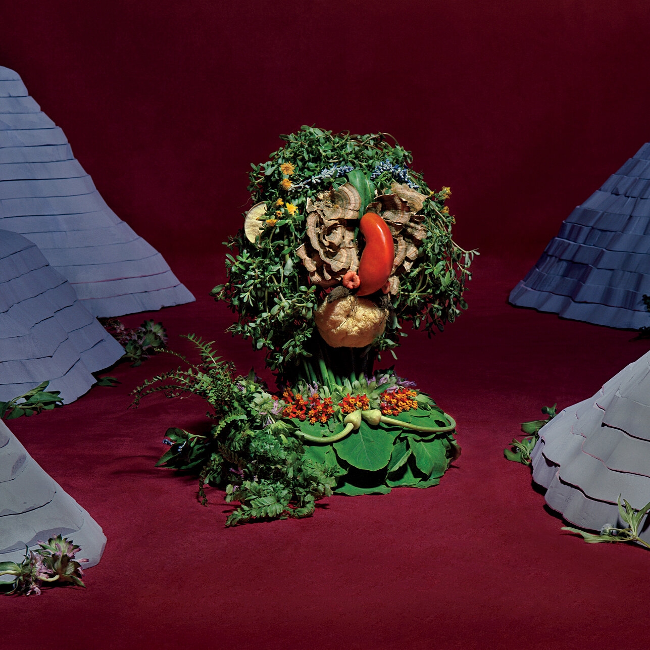 Revisiting An Ancient Theory Of Herbalism The New York Times Revisiting An Ancient Theory Of Herbalism The New York Times