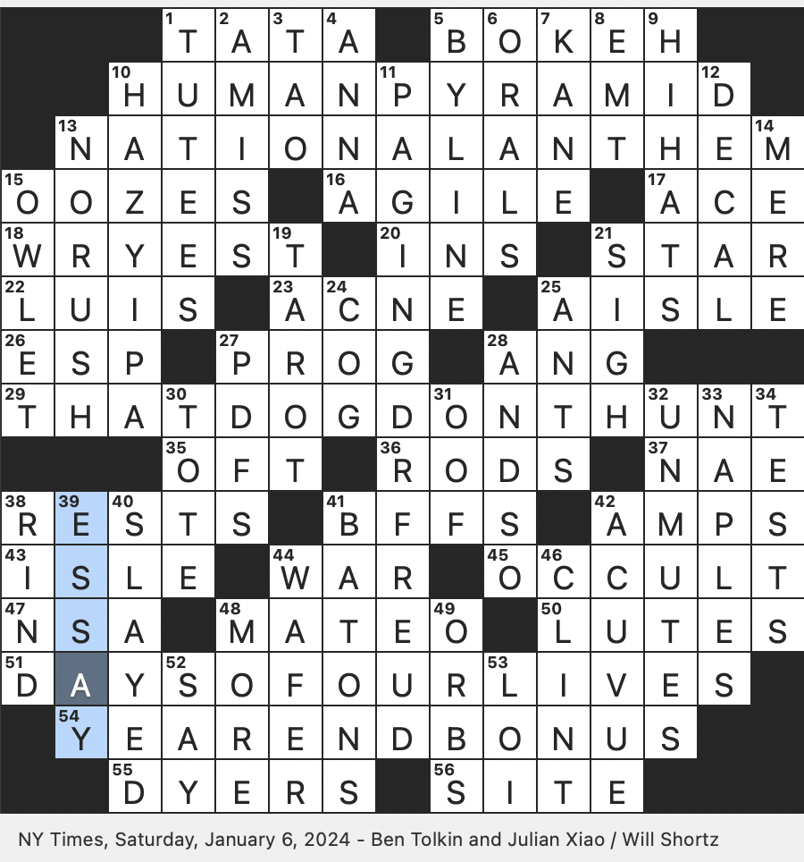 Rex Parker Does The NYT Crossword Puzzle Bad Plan In Southern Slang SAT 1 6 24 Unfiltered Brew Comment After A Revealing Moment Out of focus Effect In Photography From The Japanese