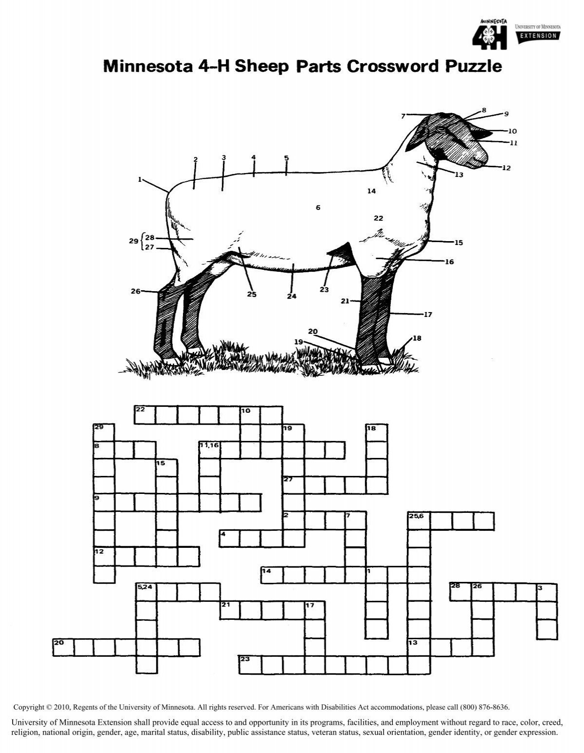 Sheep Crossword Puzzle University Of Minnesota Extension Service