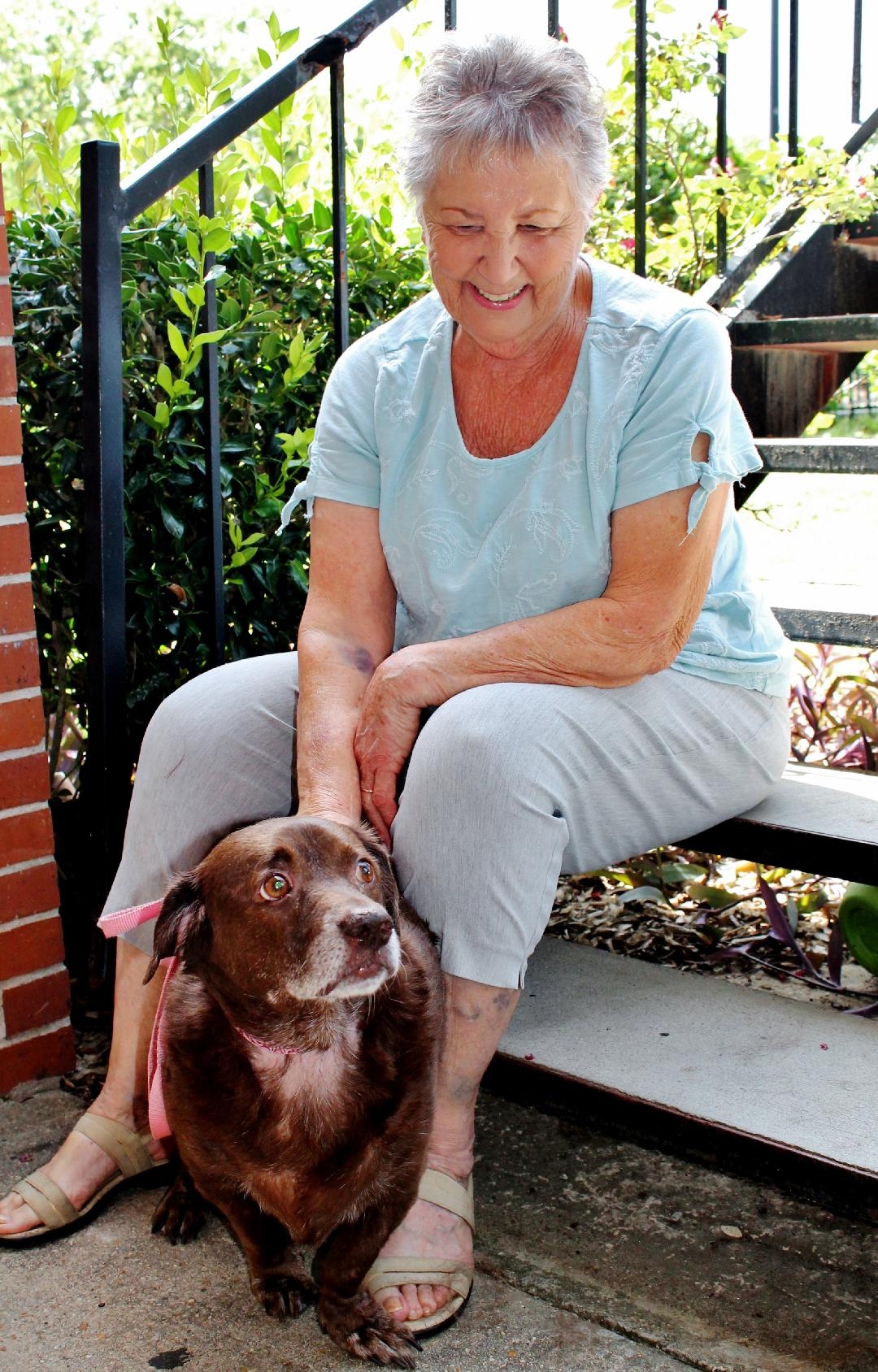 Shoofly Archives The Shoofly Magazine