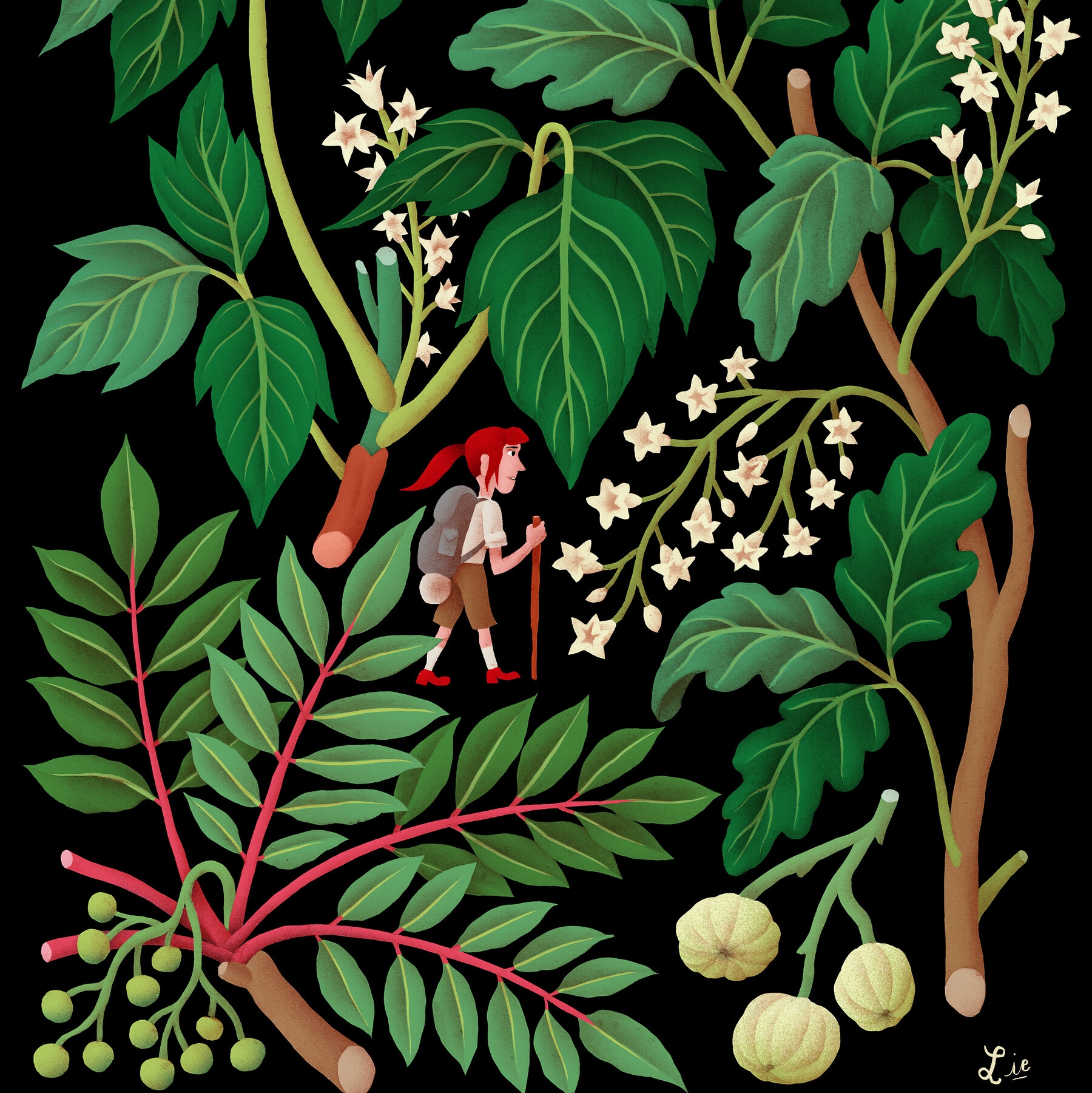 So You Touched Poison Ivy Now What The New York Times