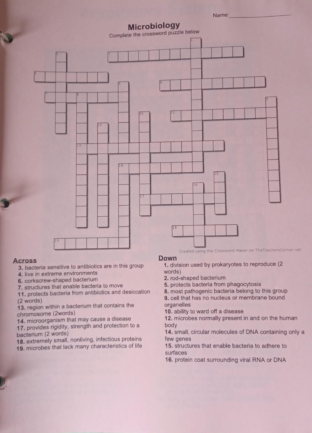 Solved Microbiology Across 3 Bacteria Sensitive To Chegg