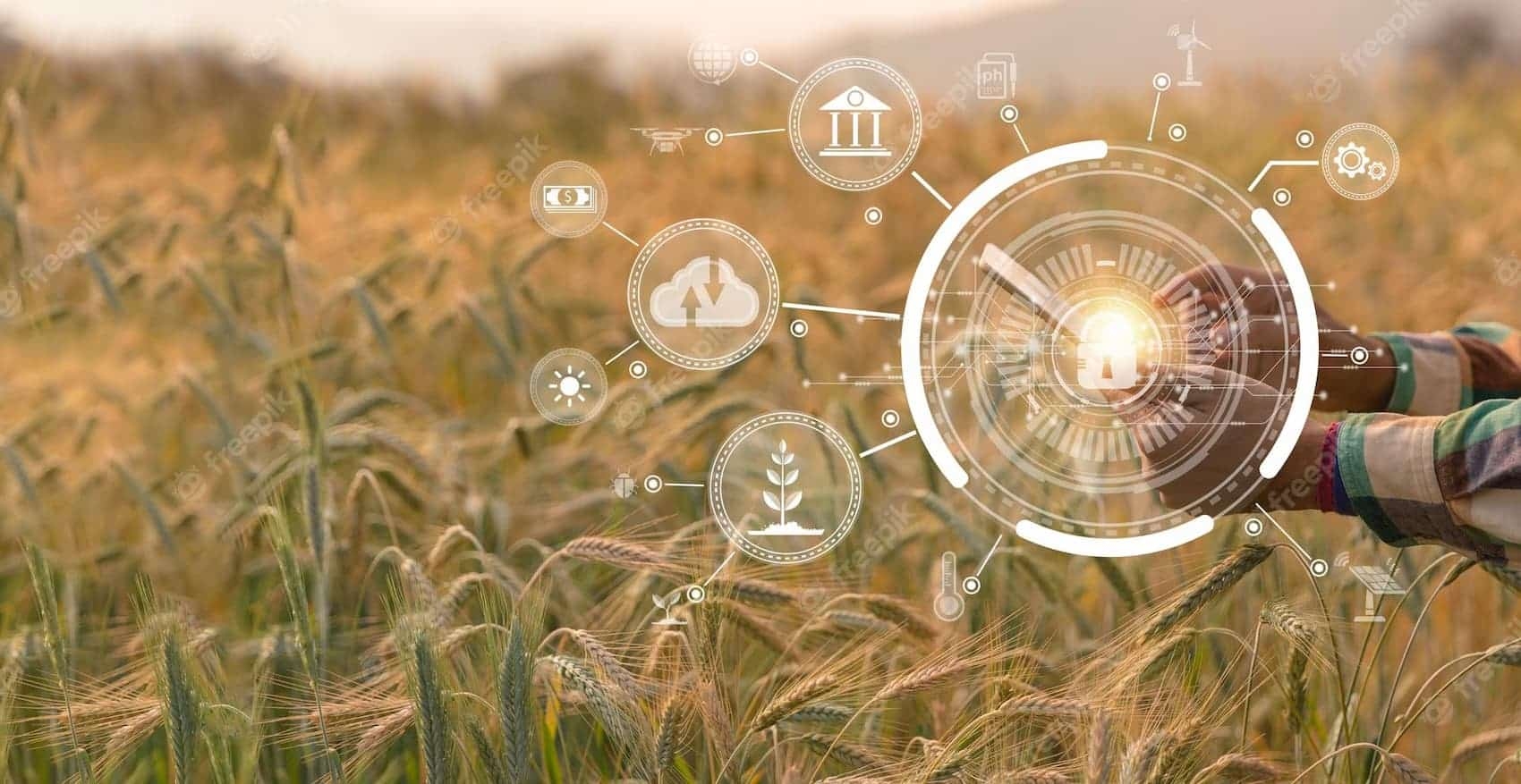 Solving The Modern Farm Technology Crossword Clue Tips Tricks BfocusMagazine Solving The Modern Farm Technology Crossword Clue Tips Tricks BfocusMagazine