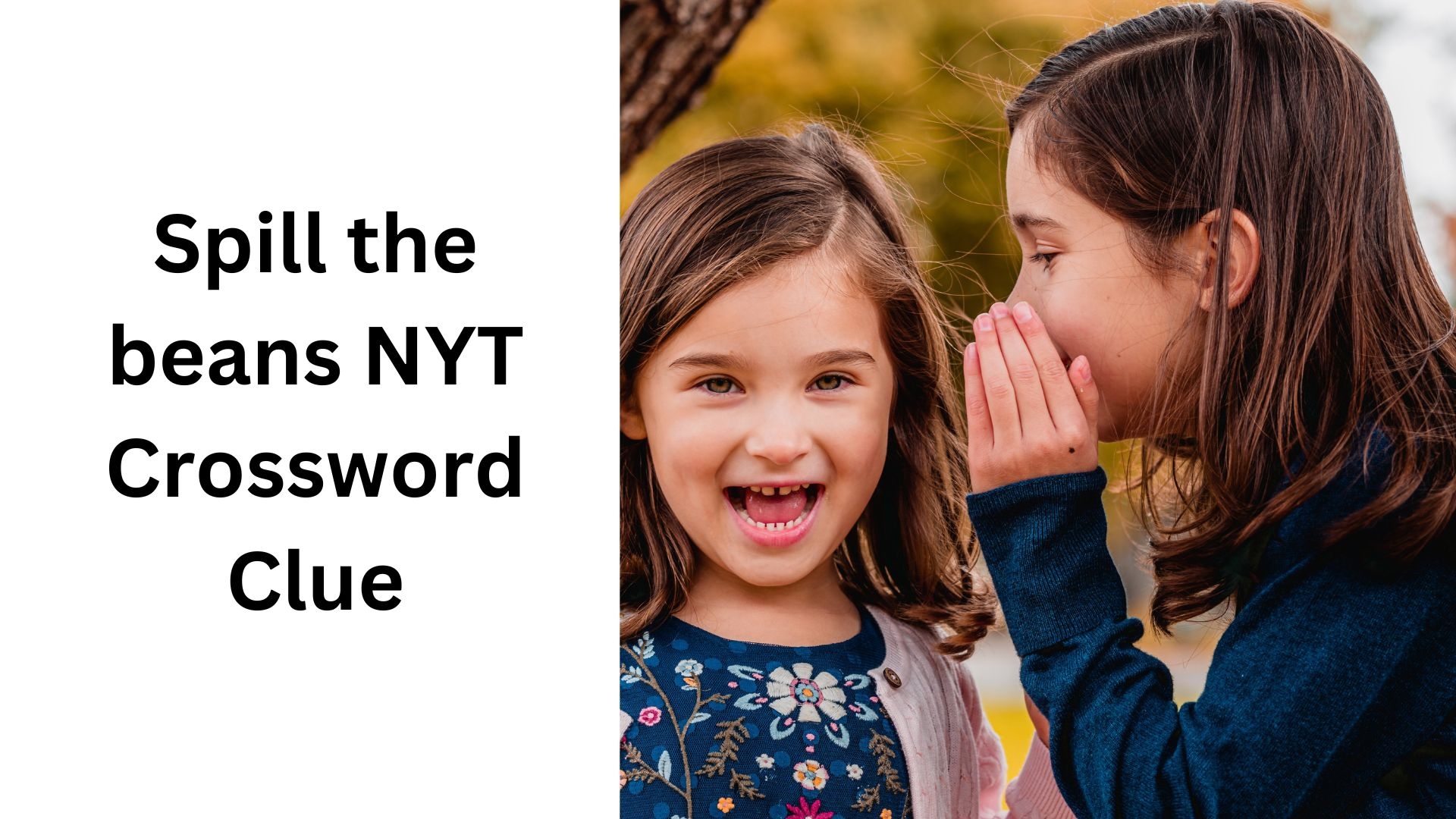 Spill The Beans NYT Crossword Clue October 7 2024