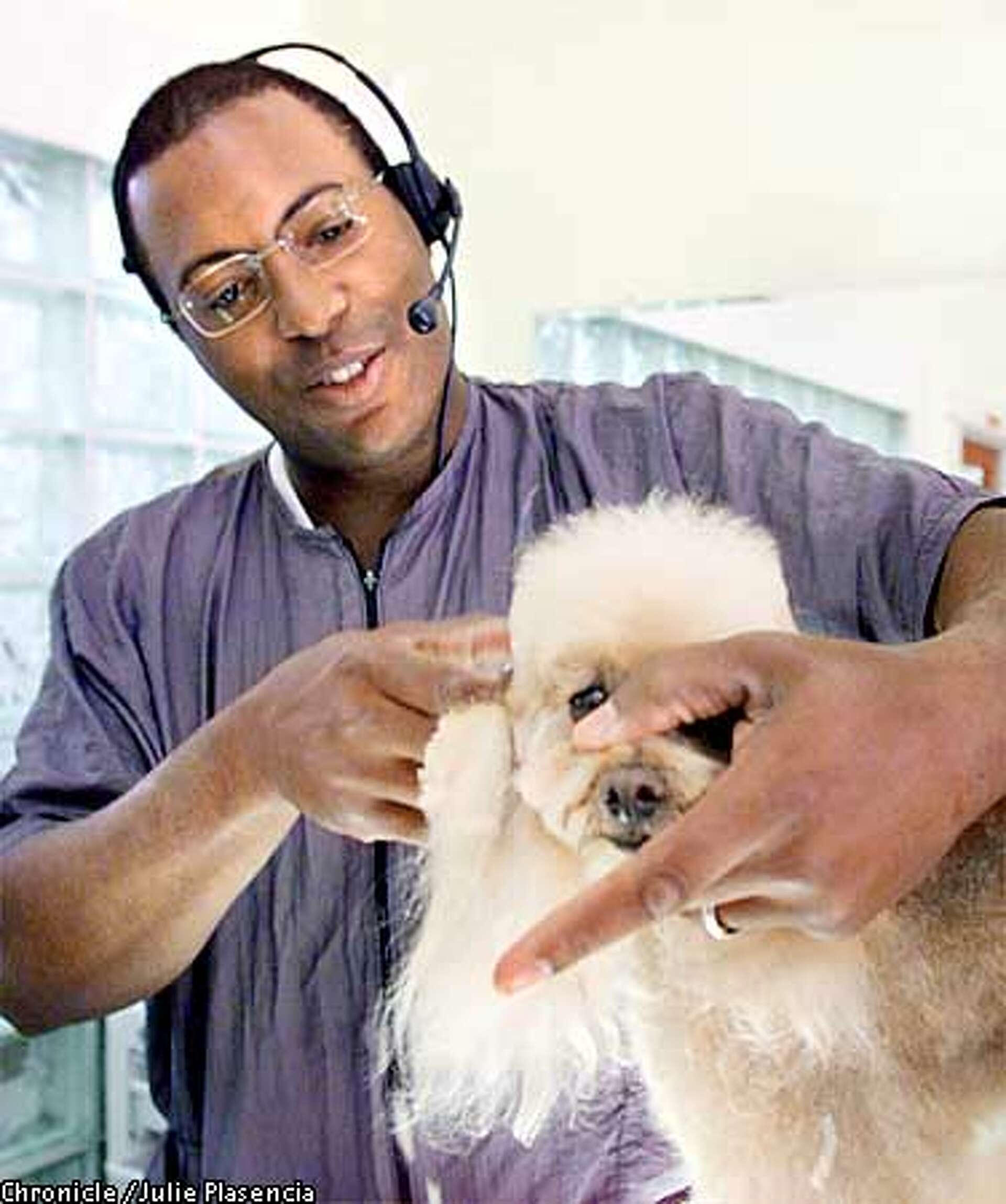 Tails Of The City Russian Hill Dog Groomers Attract High end Clientele